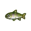 animal-crossing-saumon-masou