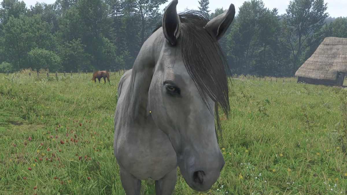 kingdom-come-deliverance-2-cheval