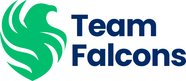 team-falcons-esports