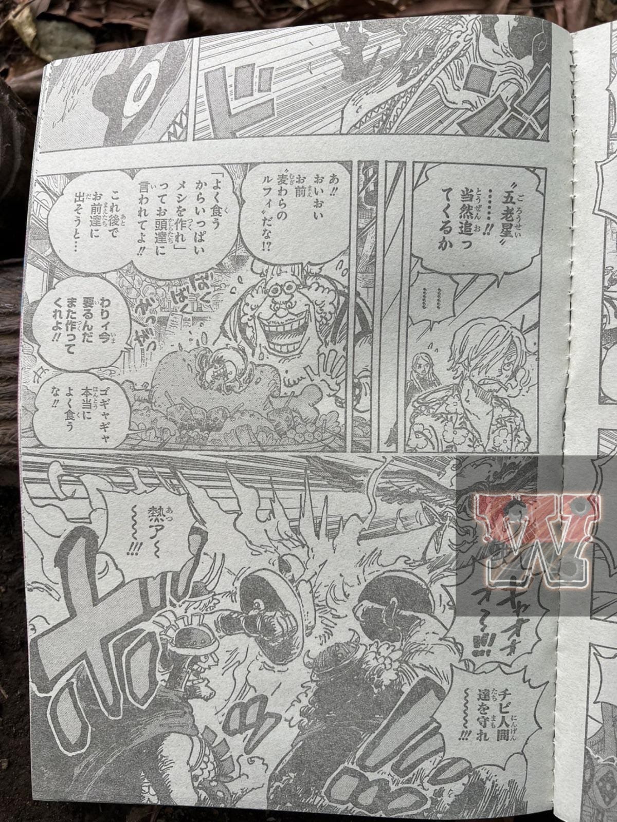 spoilers-1118-raw-one-piece