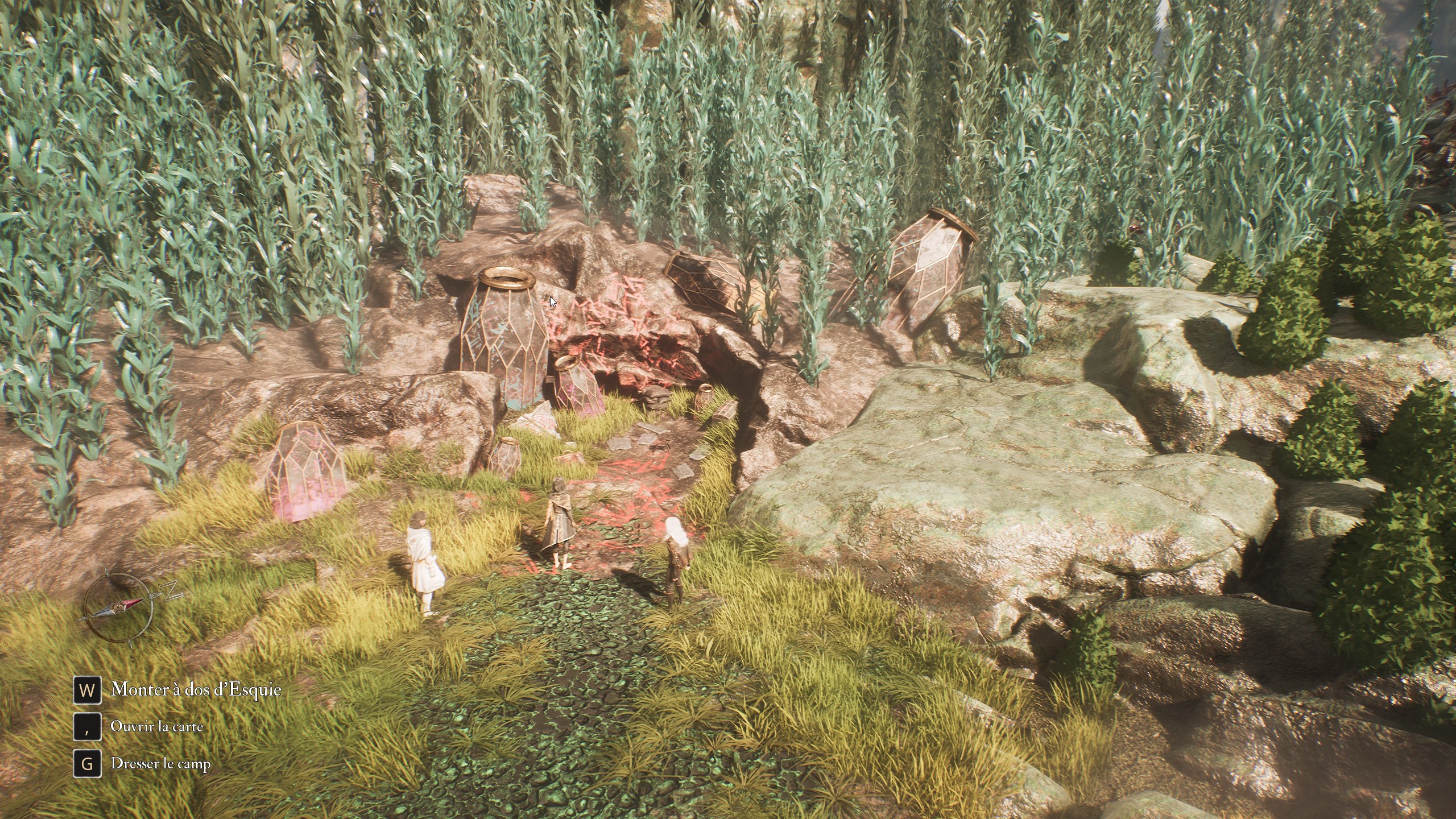 emplacement-gestral-perdu-arbre-blanc-exterieur