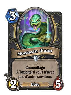 mocassin-eau-nouvelle-carte-cavernes-lamentations-hearthstone
