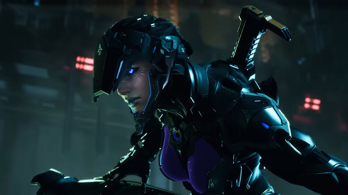 the-first-descendant-niveau-max