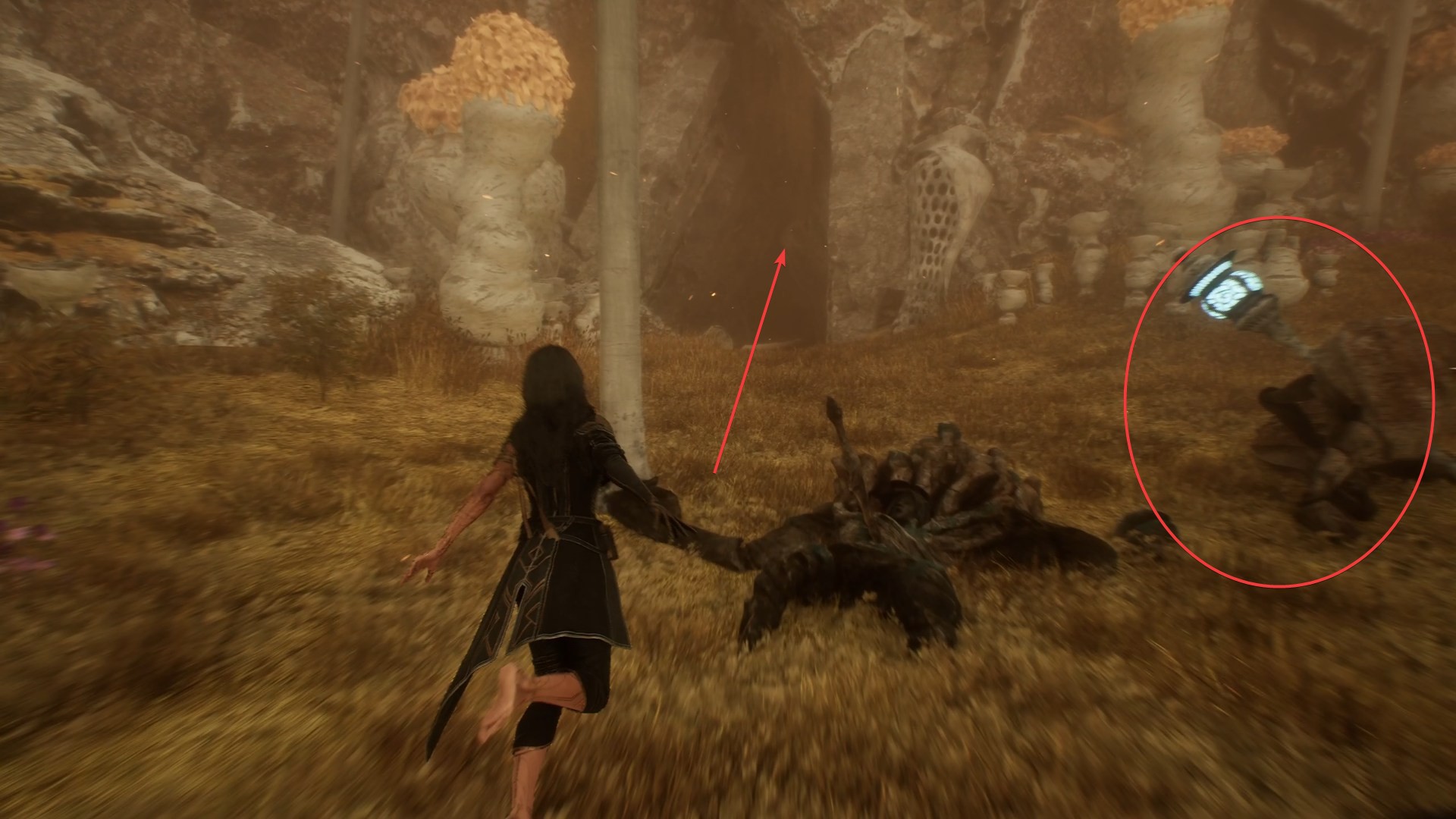 clair-obscur-expedition-33-emplacement-mime-moisson-doree