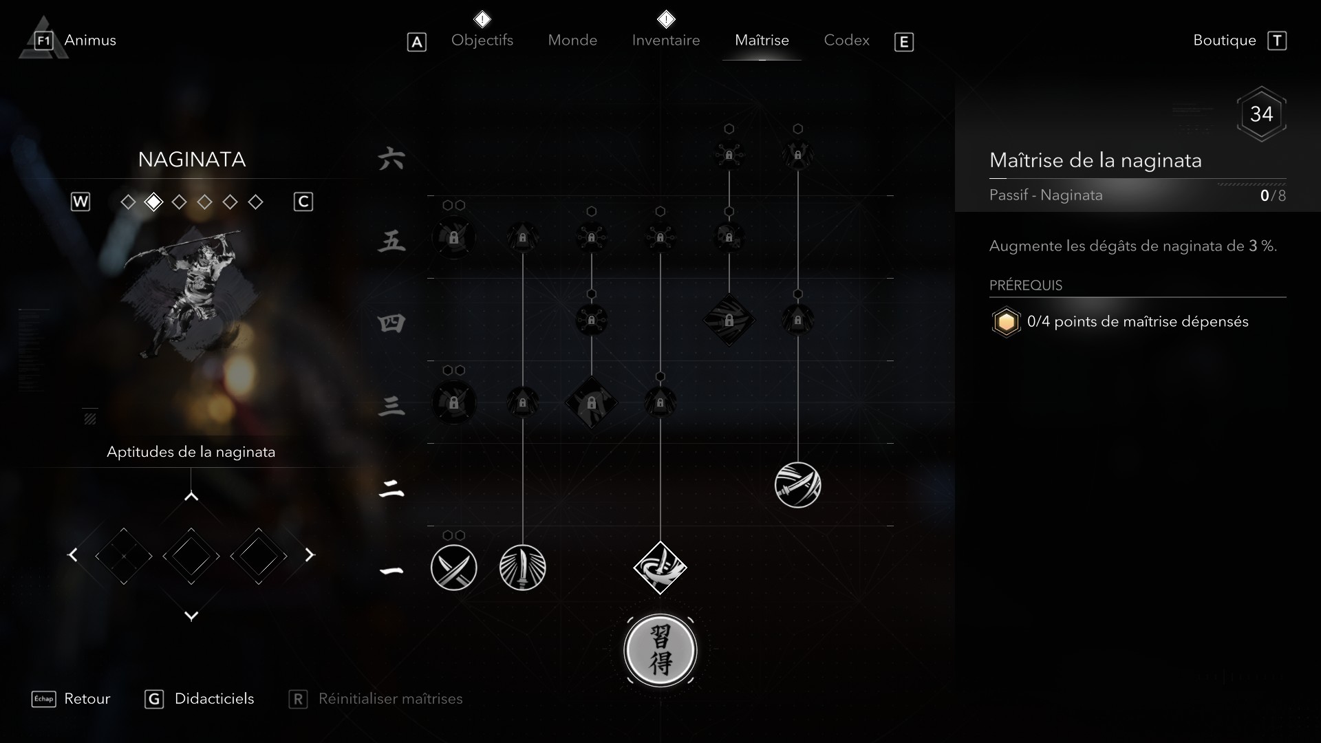 maitrise-naginata-ac-shadows