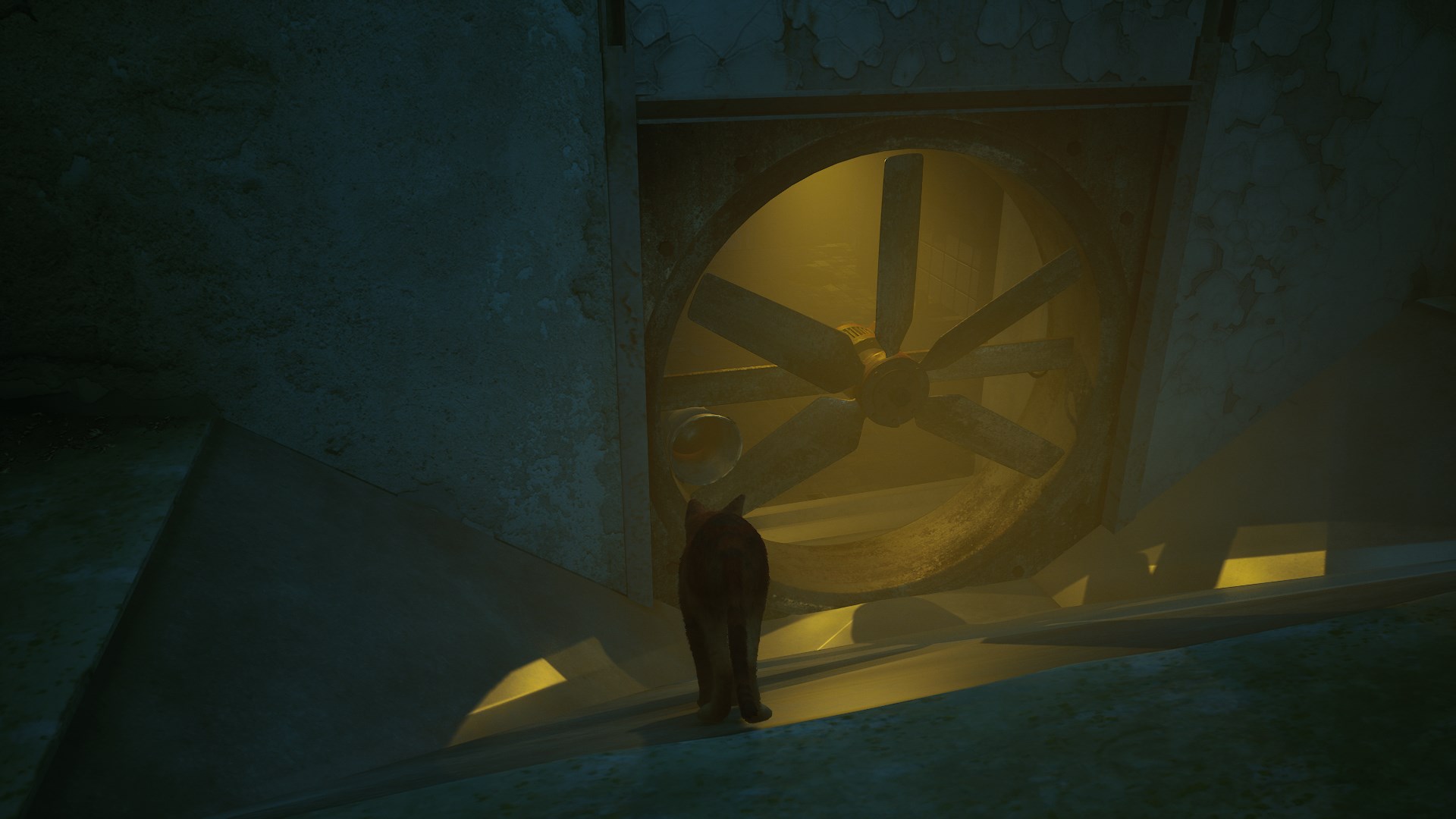 stray-seaux-enigme-resoudre-3