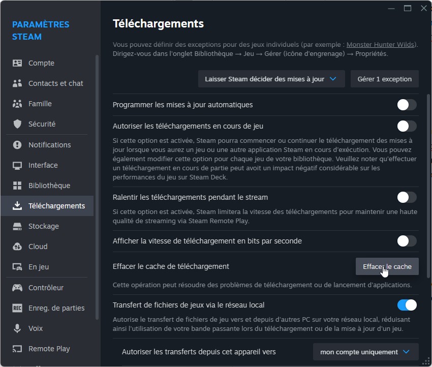 inzoi-missing-file-privileges-effacer-cache