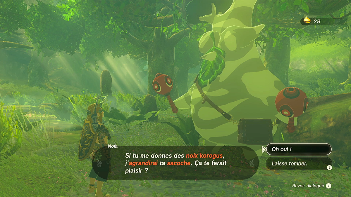 noia-korogu-amelioration