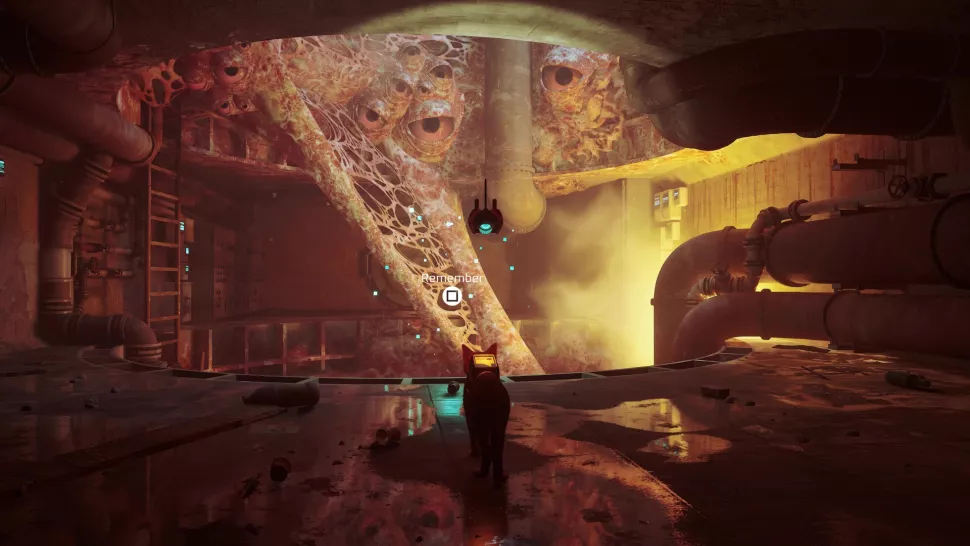 souvenir-stray-les-egouts-4