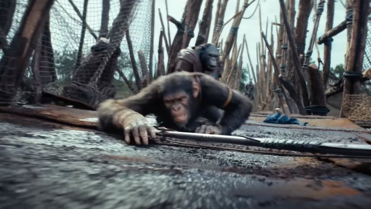 la-planete-des-singes-le-nouveau-royaume