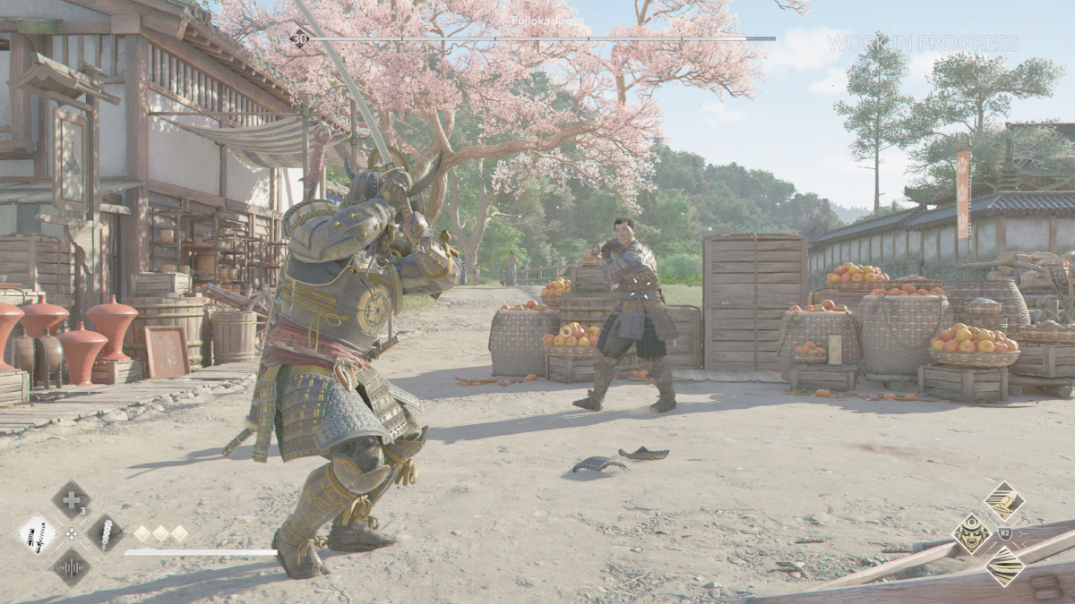 combat-assassins-creed-shadow