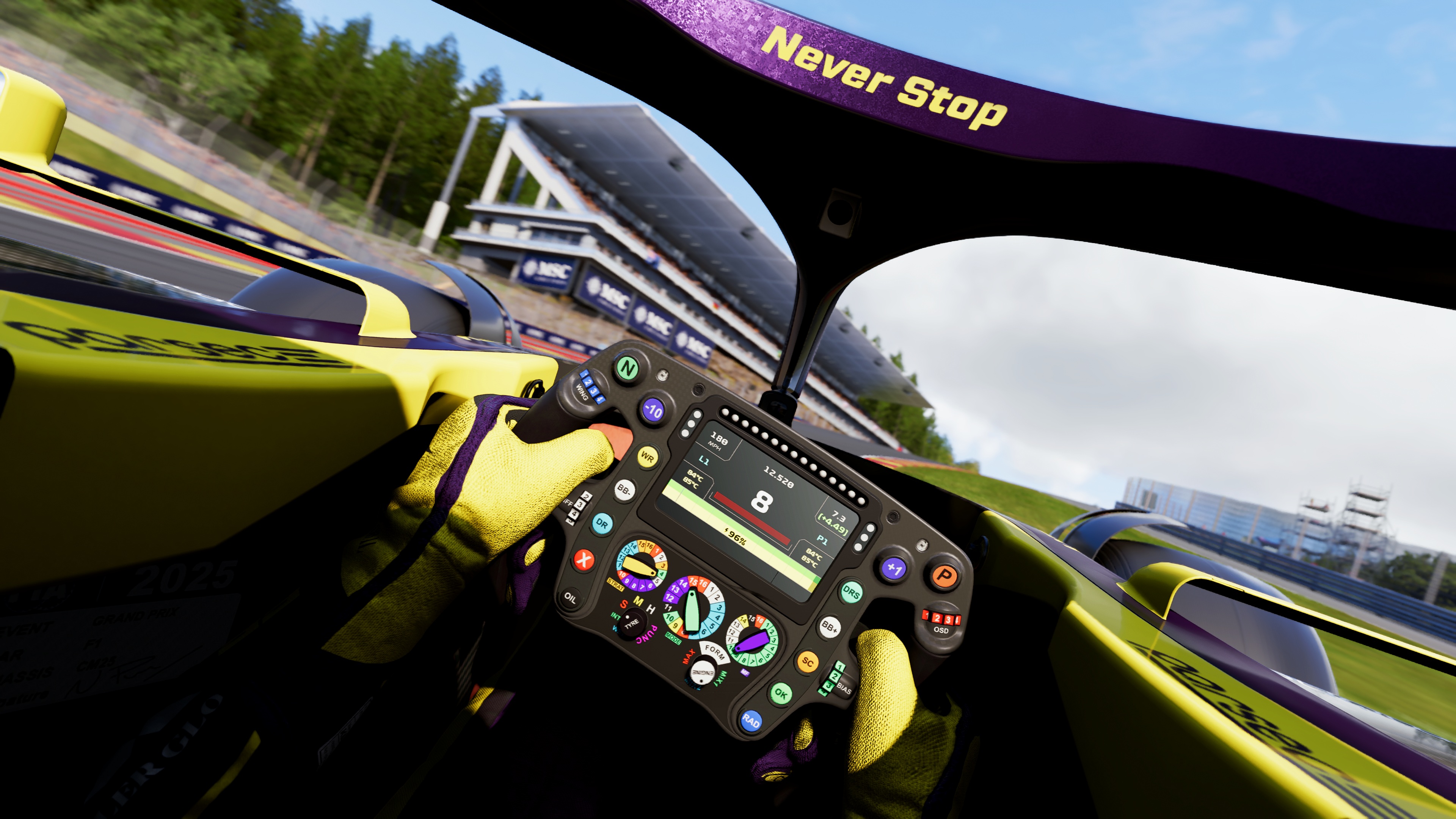 f1-25-preview-point-de-rupture-3-vue-cockpit