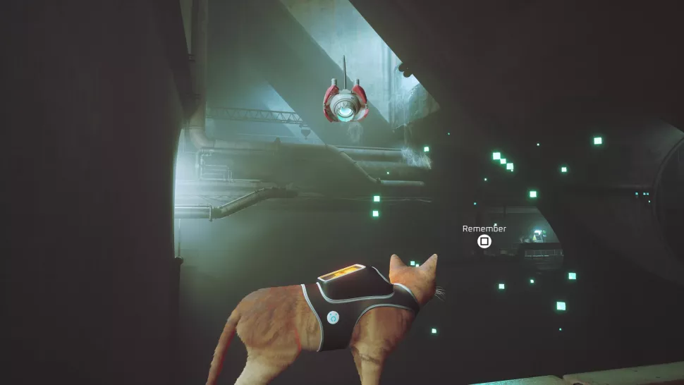 souvenir-stray-les-egouts-2