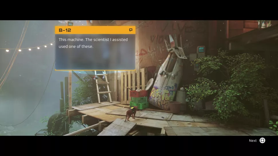 souvenir-stray-la-fourmiliere-1