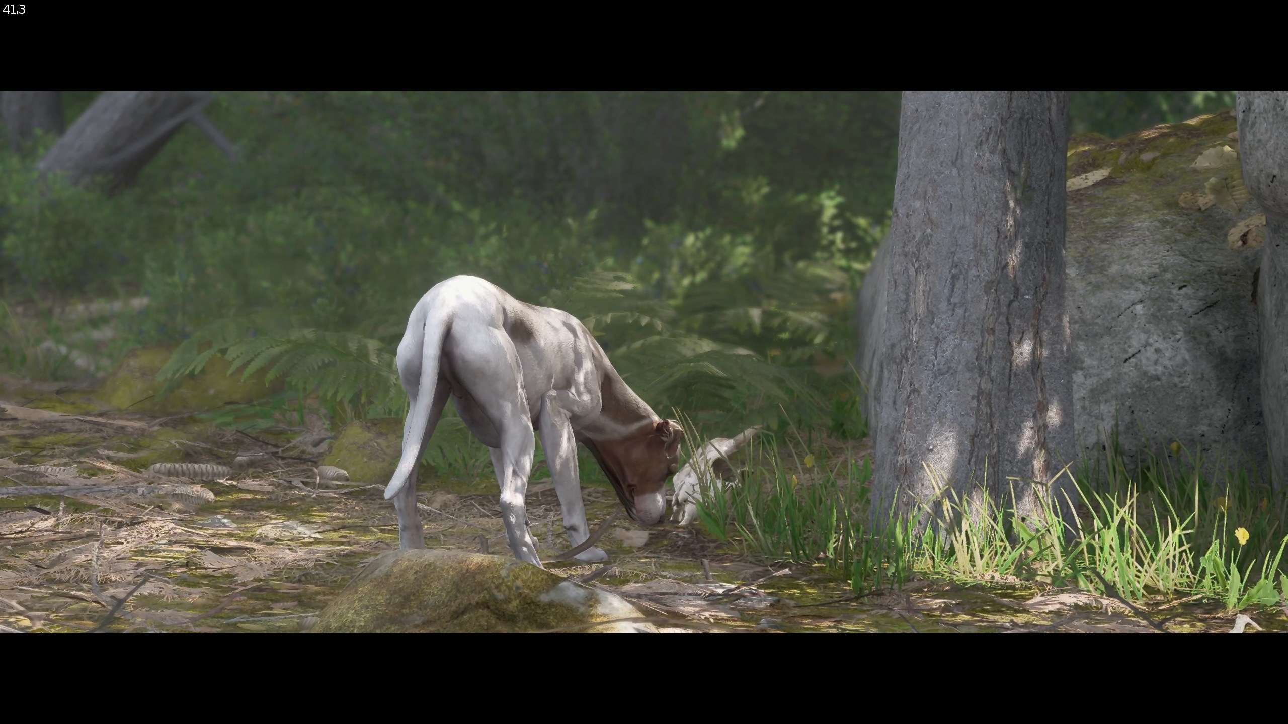 cabot-kingdom-come-delivrance-2-comment-obtenir-guide