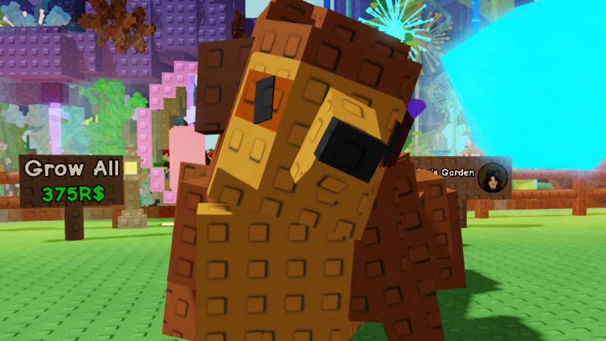 roblox-grow-a-garden-meerkat-comment-avoir-how-to-get