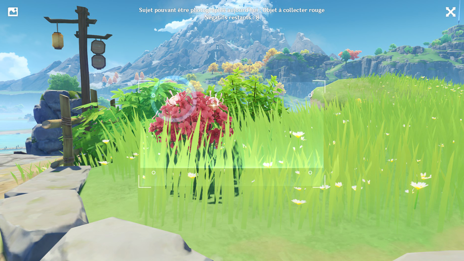 vignette-genshin-impact-photo-rouge