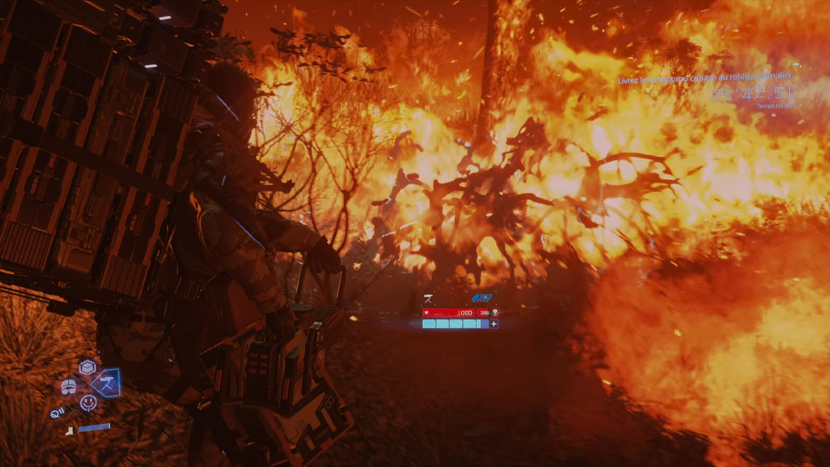 canon-poix-kangourou