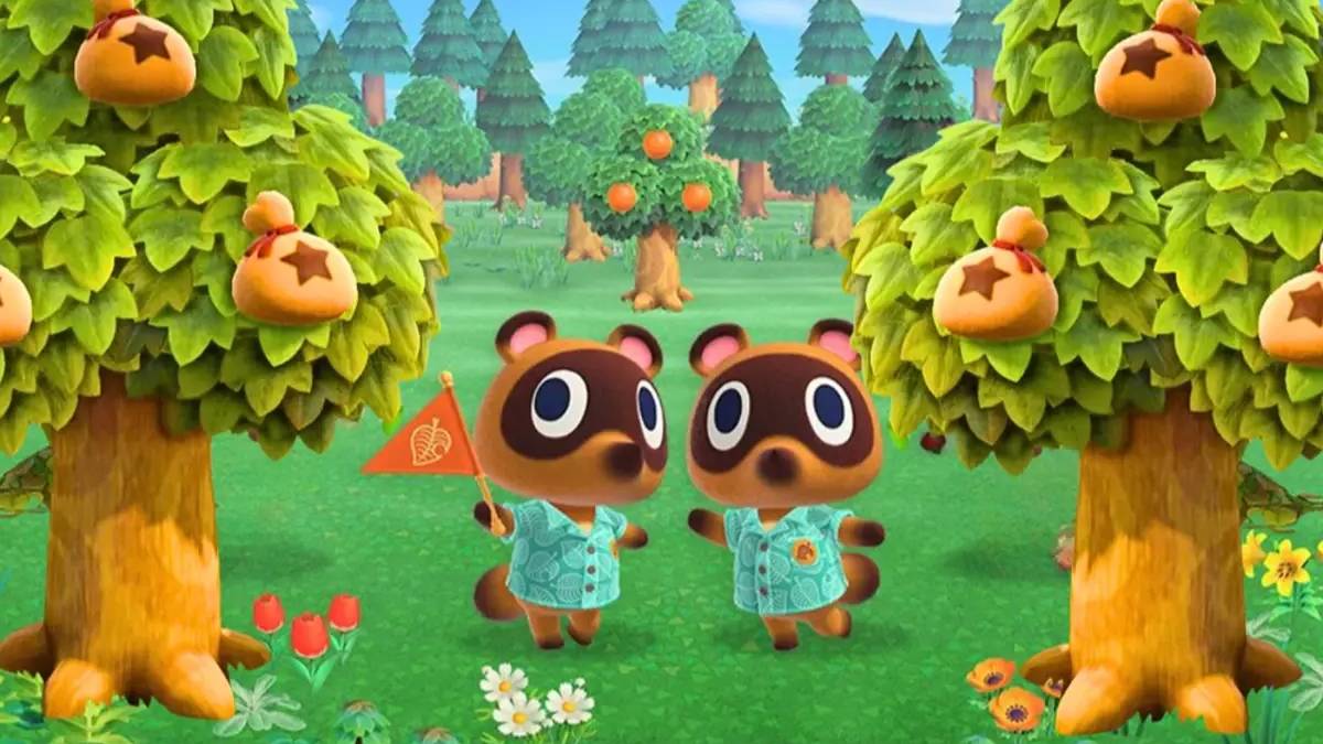 animal-crossing-2-2026-date-de-sortie-leaks-rumeurs-nintendo-switch-2