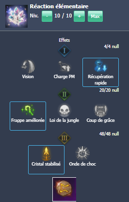 sorciere-build-allumage-5