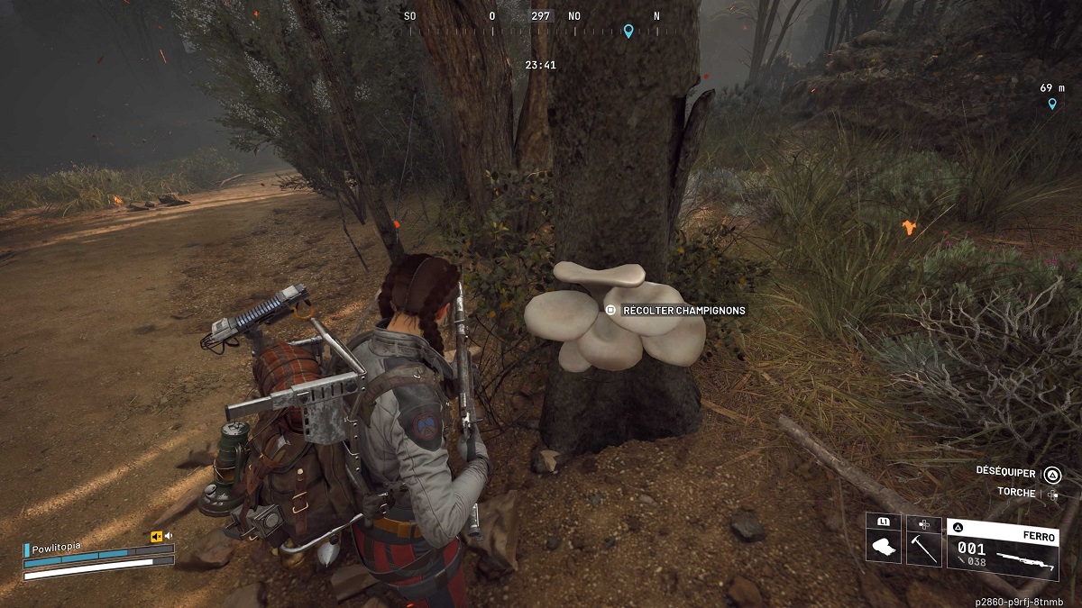 arc-raiders-arbre-champignon