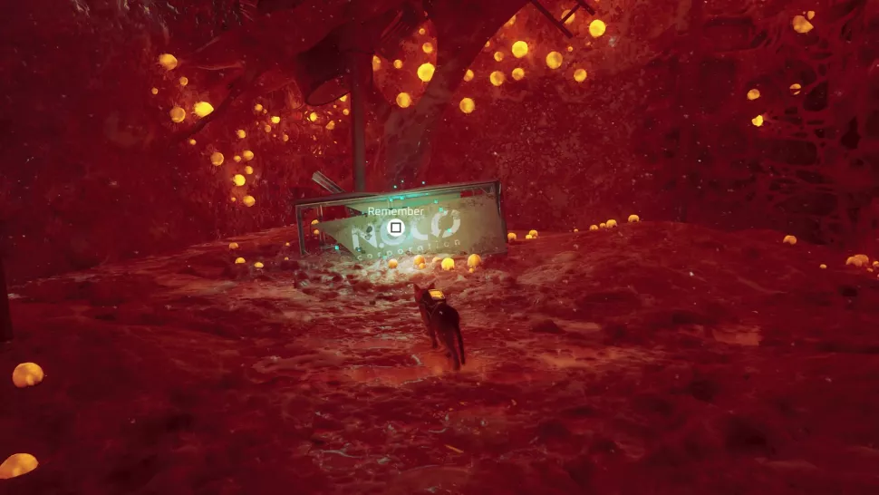 souvenir-stray-les-toits-2