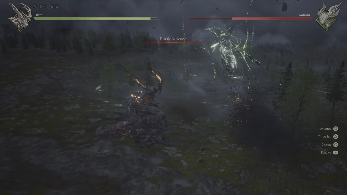 rafale-aerienne-boss-garuda-2