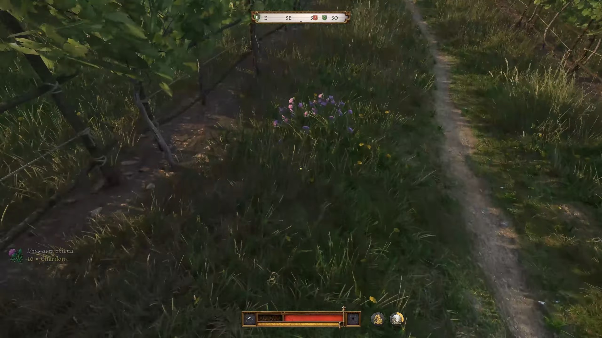 kingdom-come-deliverance-2-quete-sous-un-chapeau-de-paille-plantes