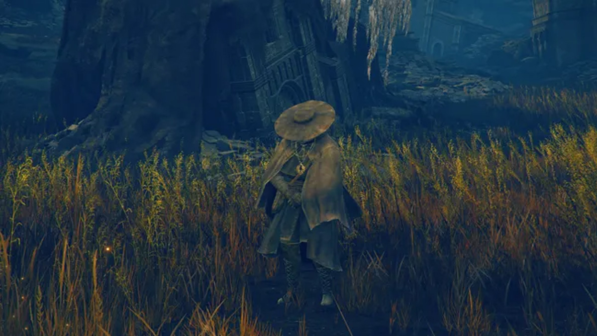 vignette-elden-ring-dlc-dane