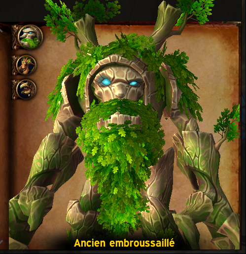 Ancien-embrouissaile-guide-df