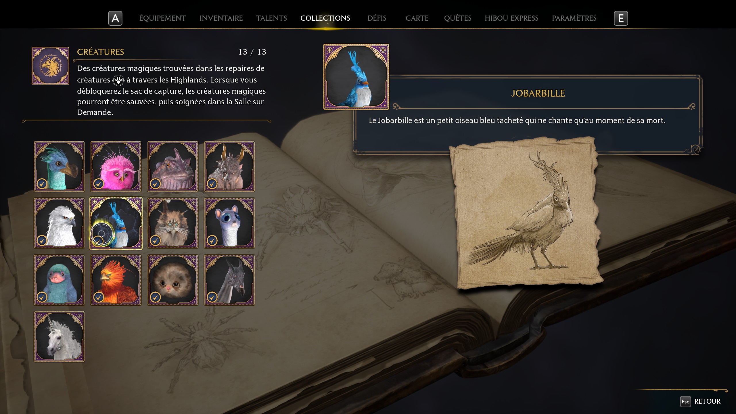 jobarbille-hogwarts-legacy