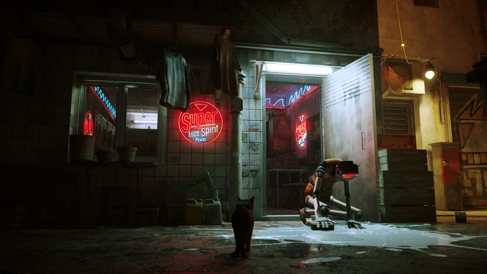 super-spirit-lessive-stray