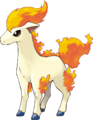 ponyta