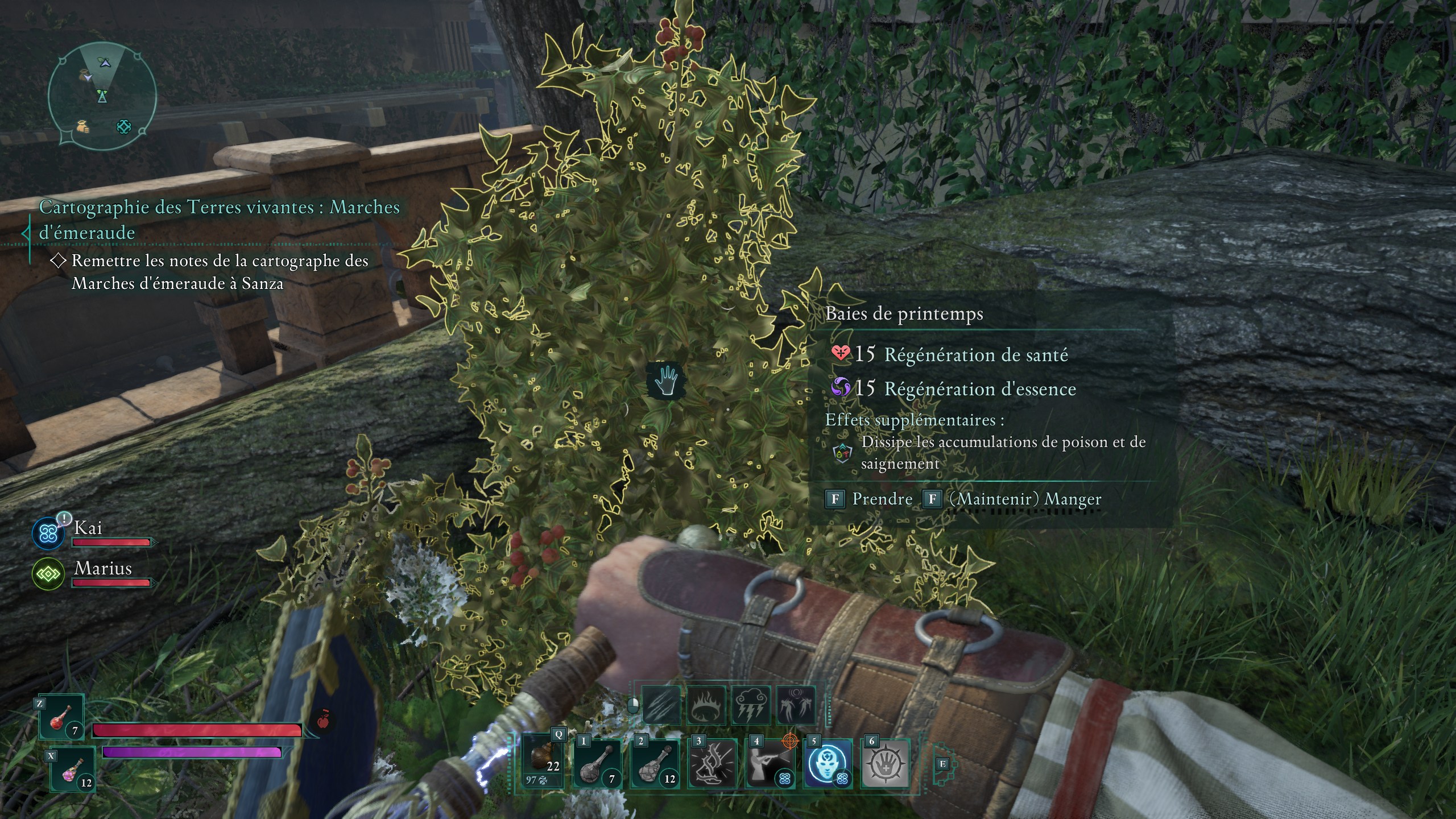 avowed-poison-soigner-baies-du-printemps