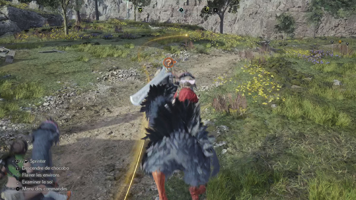 flair-chocobo