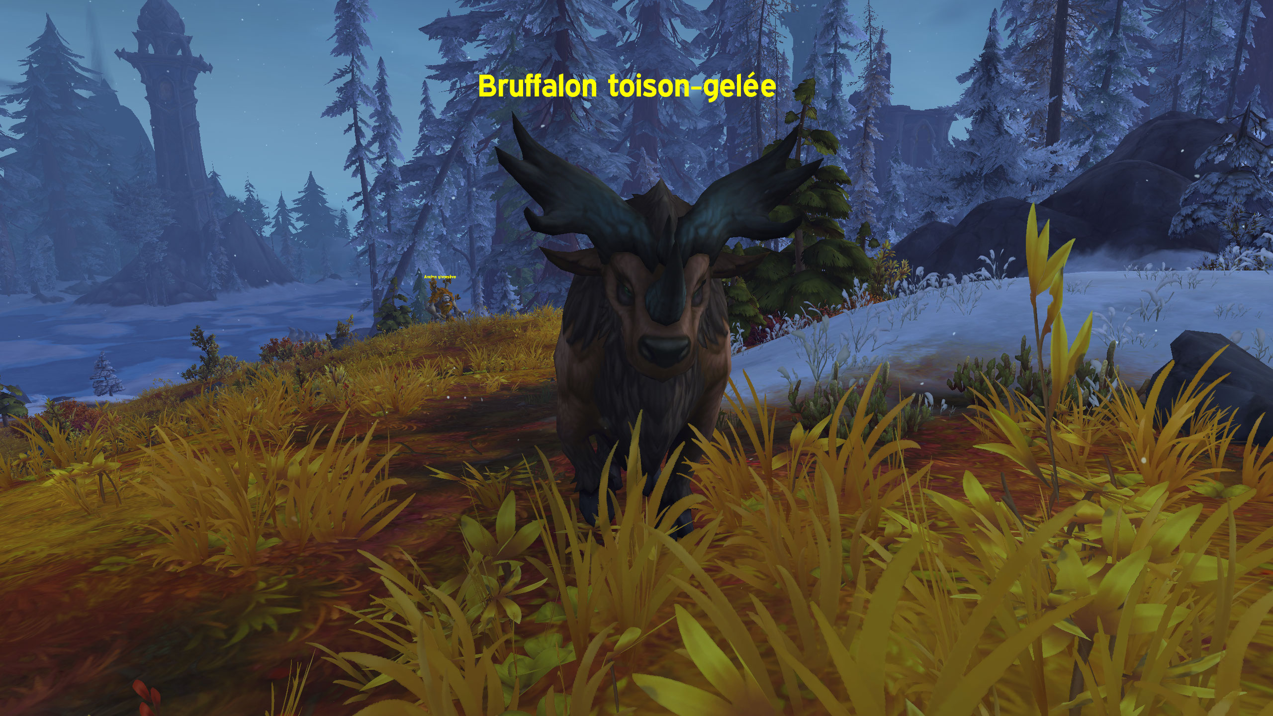 Bruffallons-Dragonflight