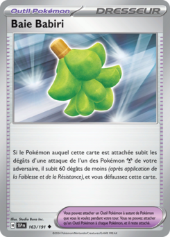 carte-outil-pokemon-baie-babiri