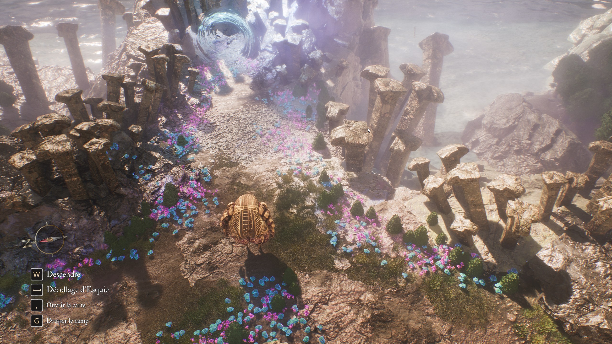 emplacement-gestral-perdu-nid-d-esquie-exterieur