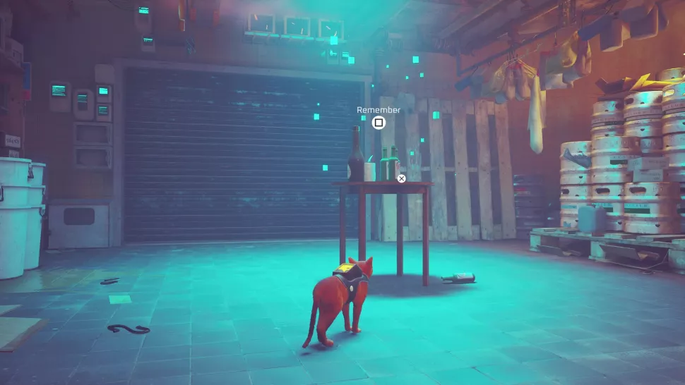 souvenir-stray-centre-ville-12