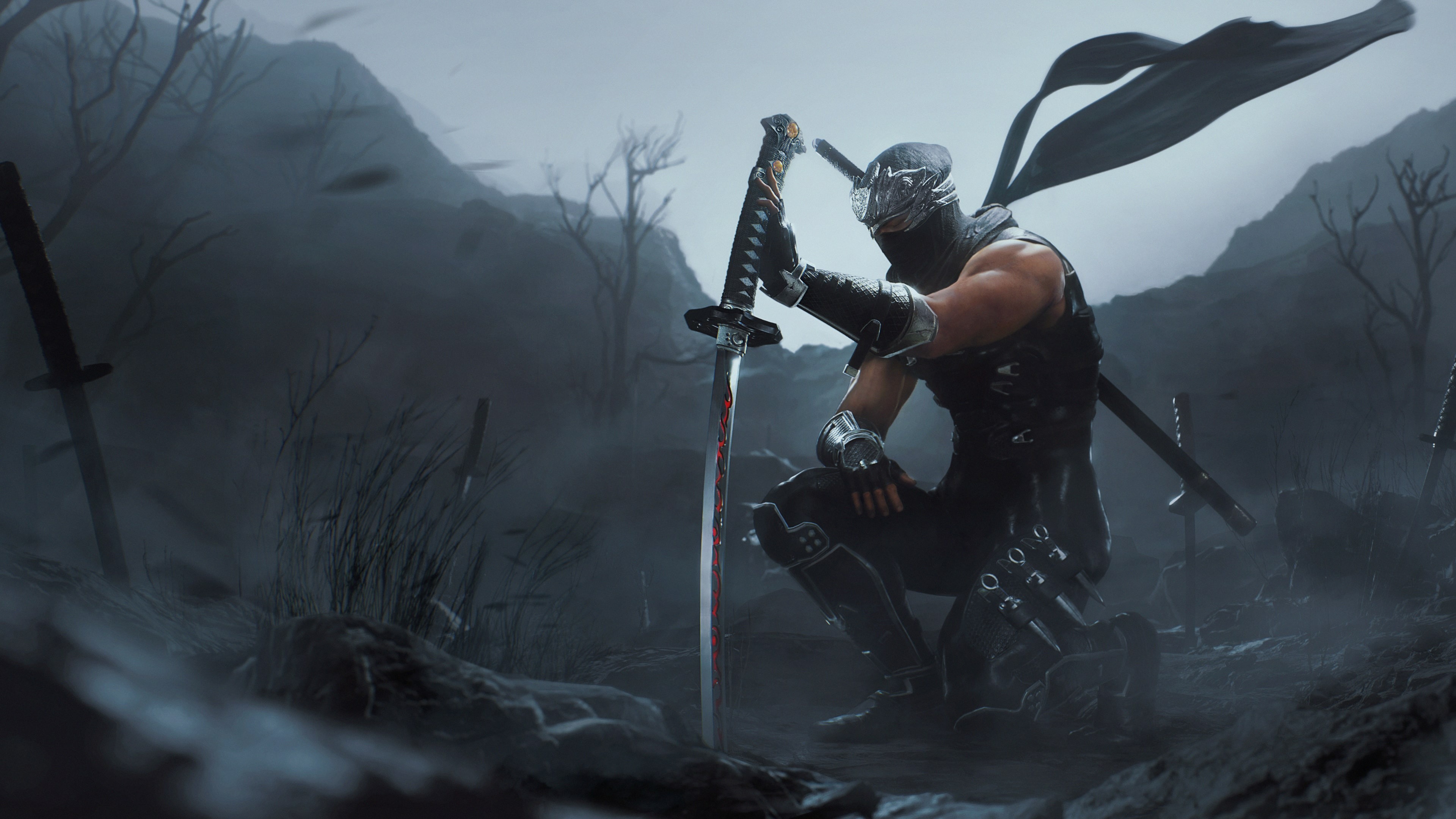 ninja-gaiden-2-black-succes