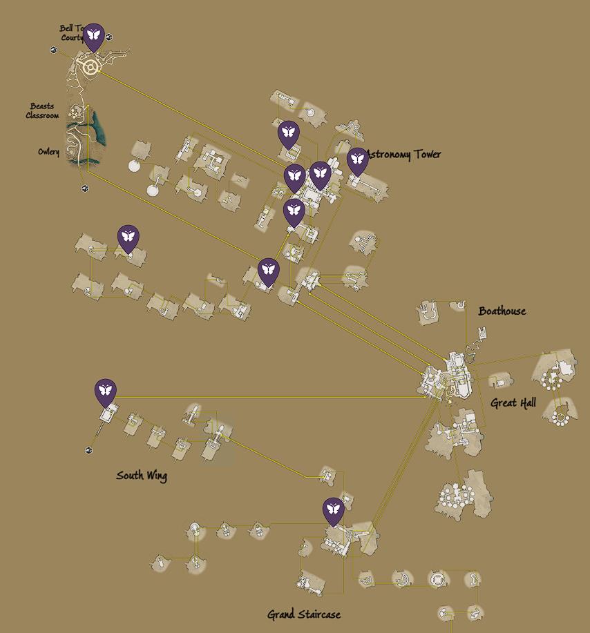 emplacements-des-miroirs-aux-papillons