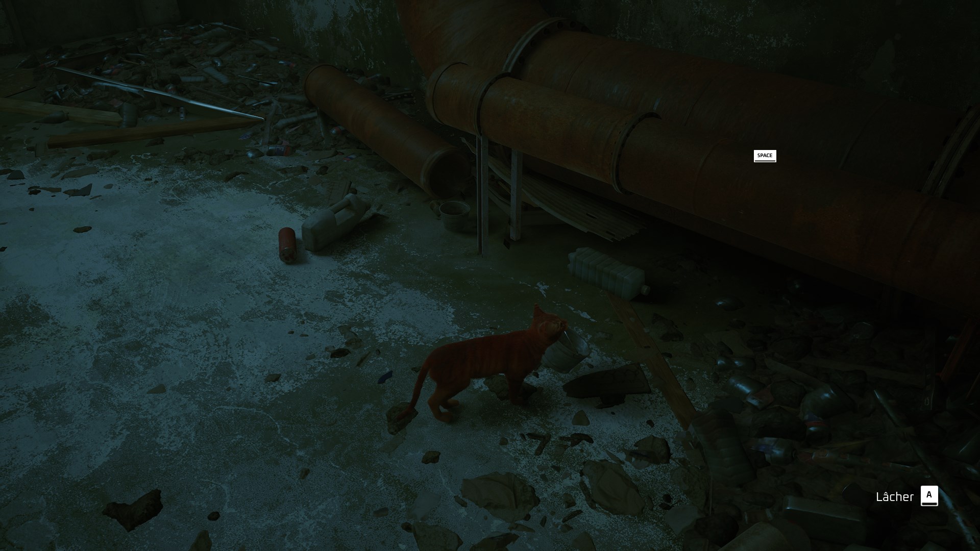 stray-seaux-enigme-resoudre-2