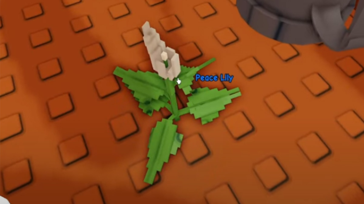 roblox-grow-a-garden-peace-lily