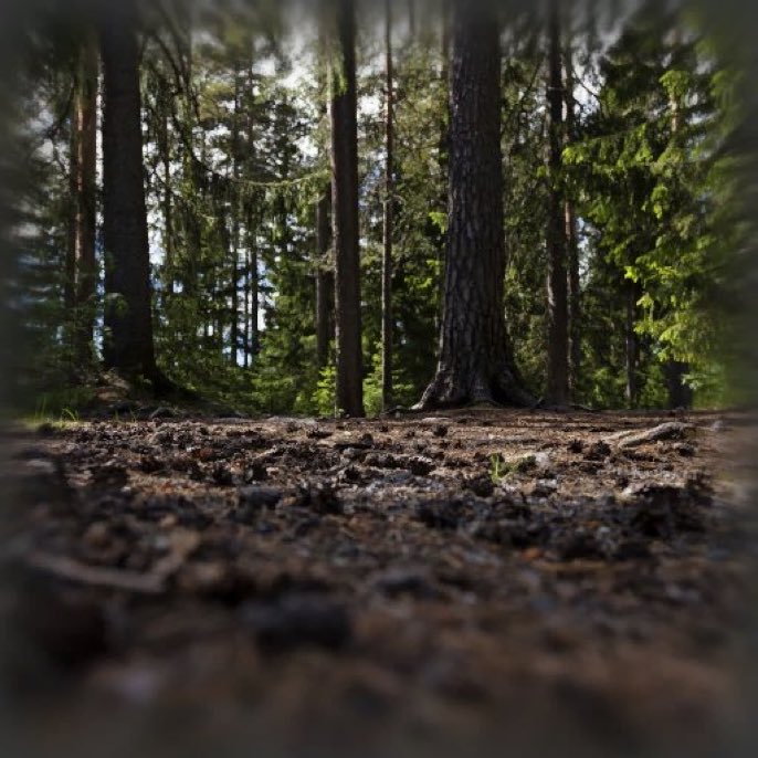 portail-ant-man-fortnite