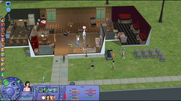 sims-2