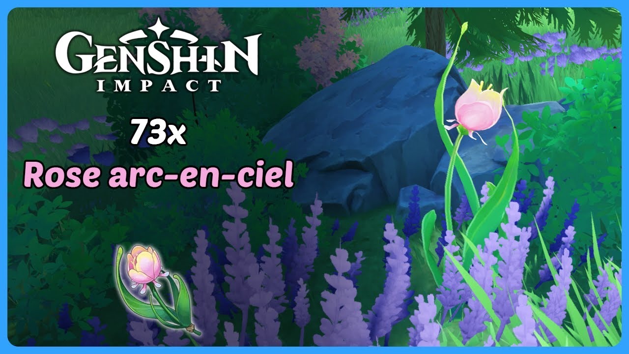 rose-arc-en-ciel-farm