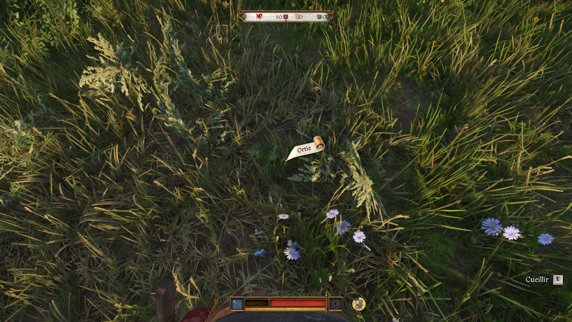 ortie-kingdom-come-deliverance-2-localisation