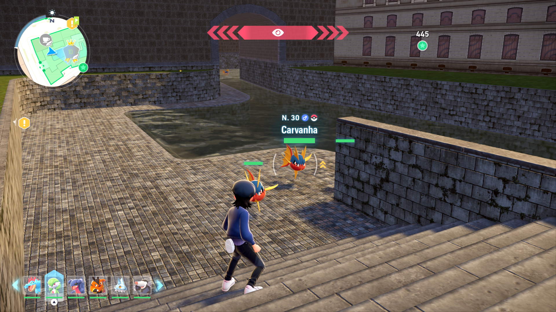 zone-sauvage-10-carvanha