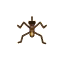 insecte-animal-crossing-new-horizons