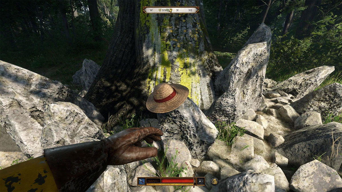 le-chapeau-de-paille-de-luffy-dans-kingdom-come-deliverance-2